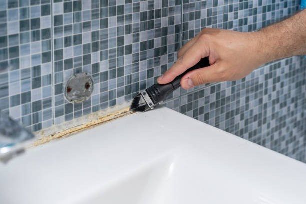 Best Emergency Mold Remediation in Gray Summit, MO
